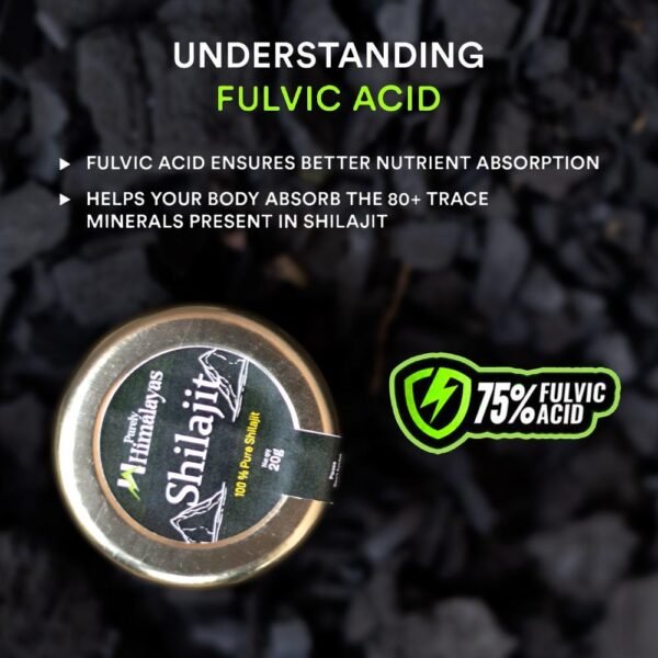 Pure Shilajit by Purely Himalayas